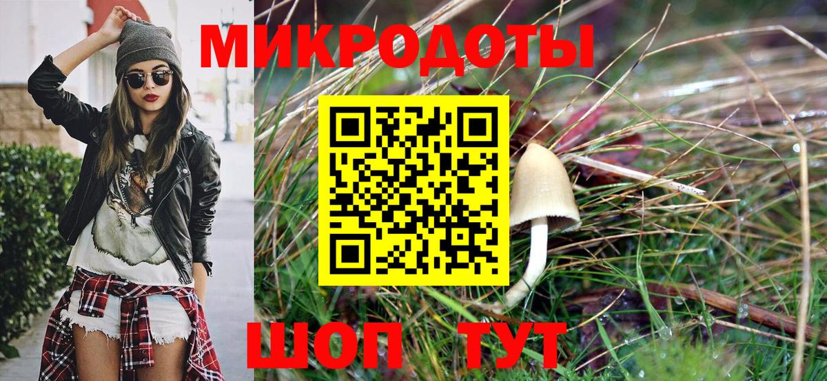Галлюциногенные грибы GOLDEN TEACHER Тутаев
