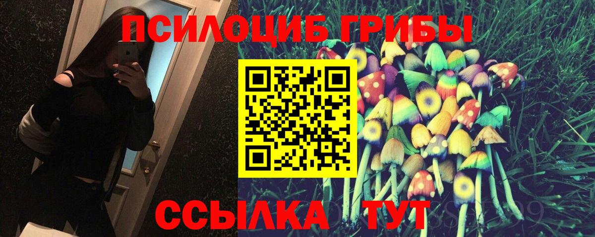 Псилоцибиновые грибы Magic Shrooms  сколько стоит  Вход с VPN  Тутаев  Галлюциногенные грибы мухоморы 